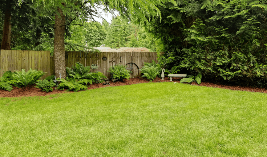 LAWN CARE